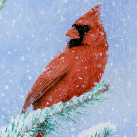 Snowy Cardinal 10x8"