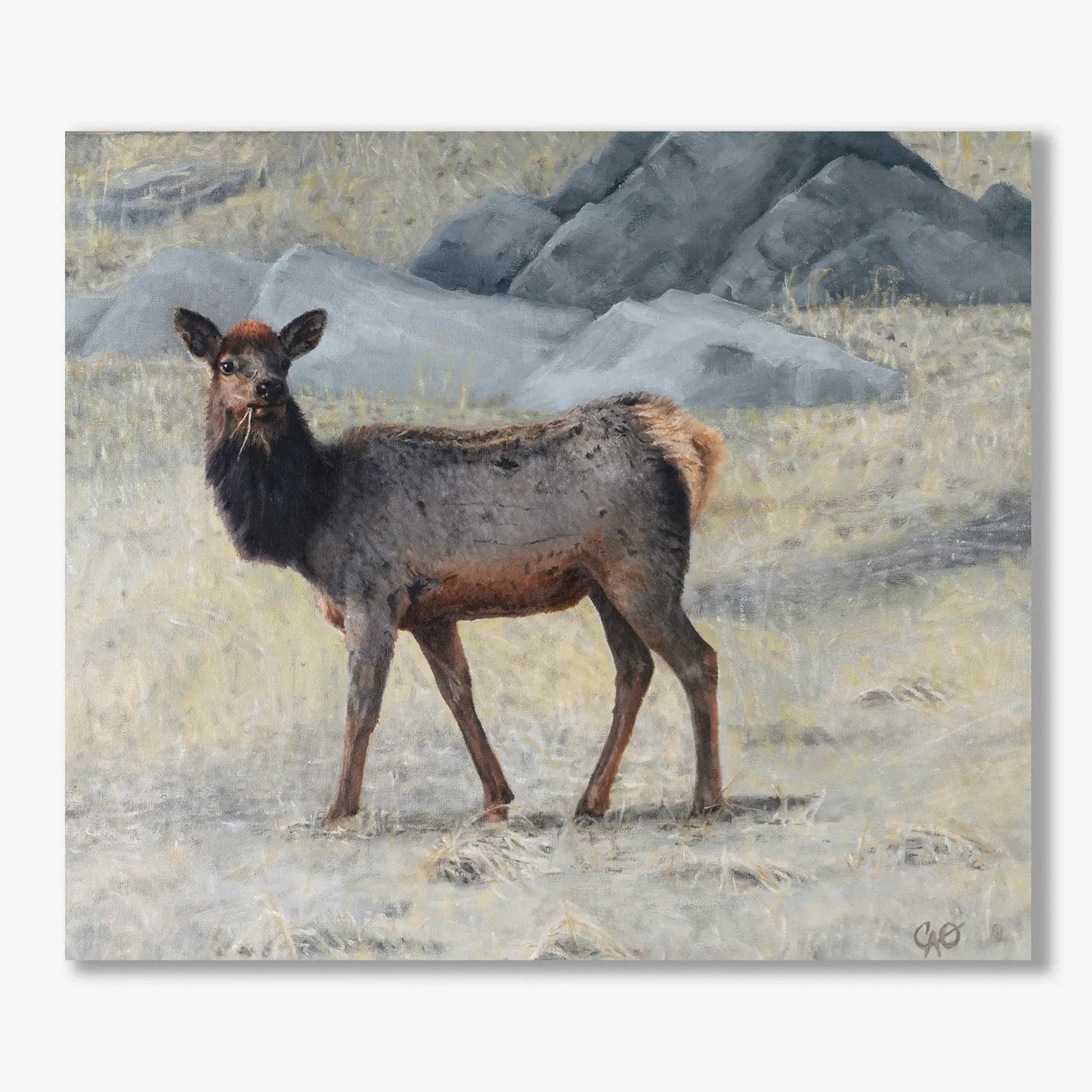 Soda Creek Elk 12x14"