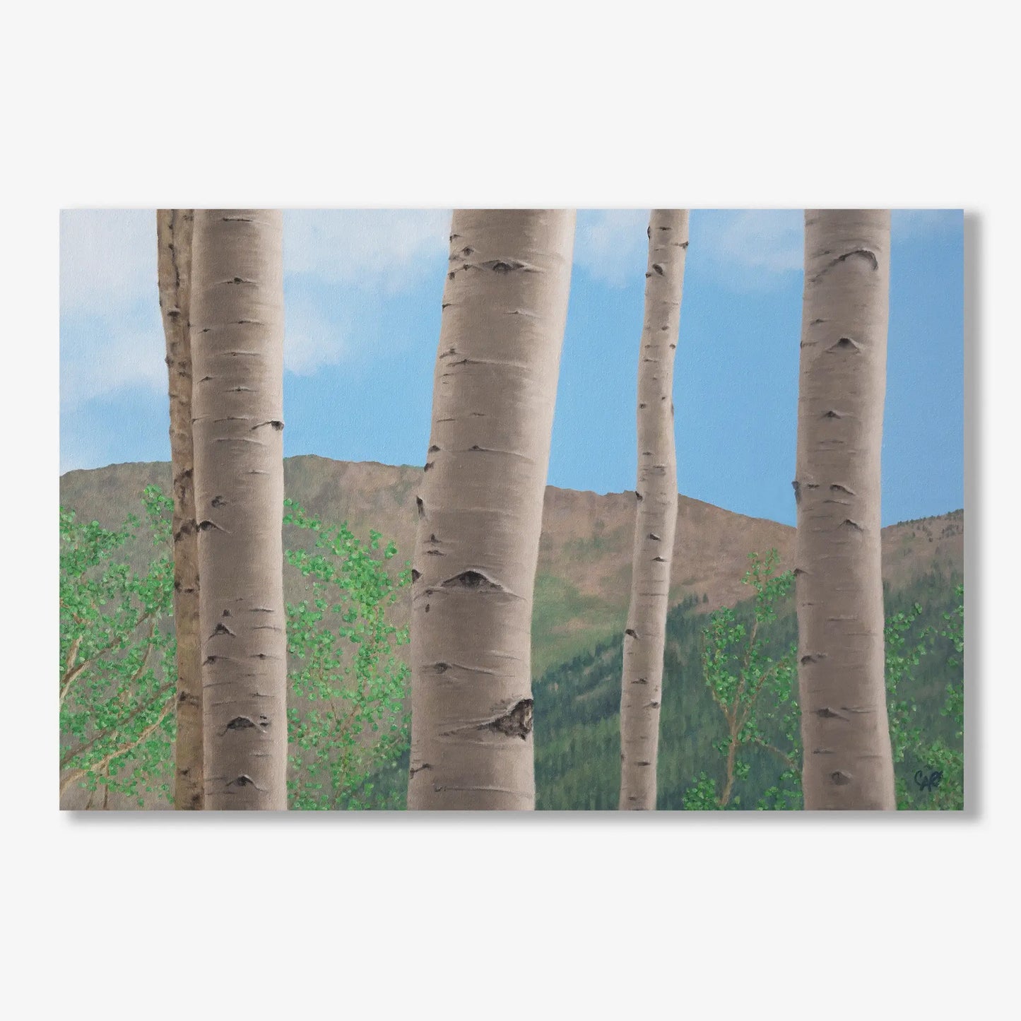 Five Aspens 20x30"
