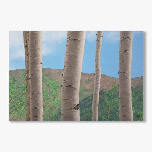 Five Aspens 20x30"
