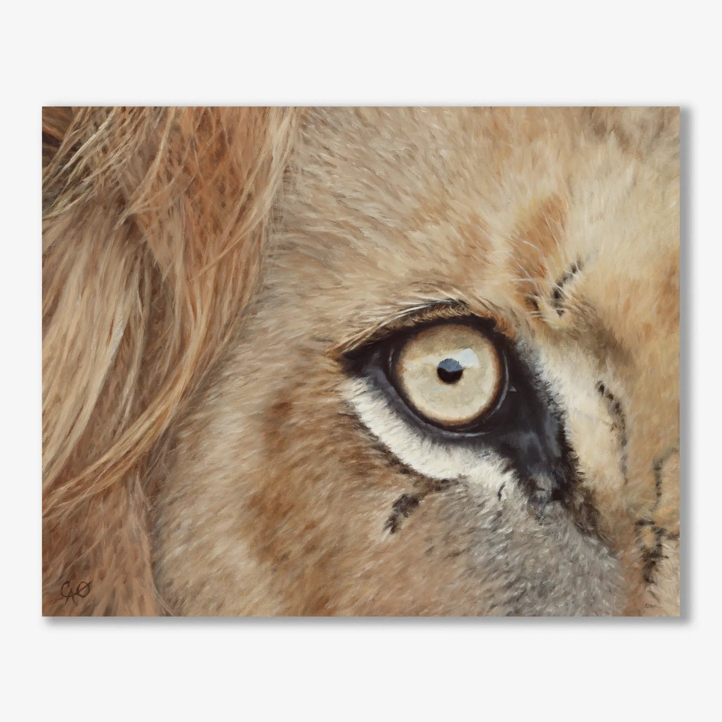 Lion's Eye 16x20"