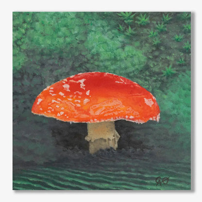 Magic Mushroom 8x8"
