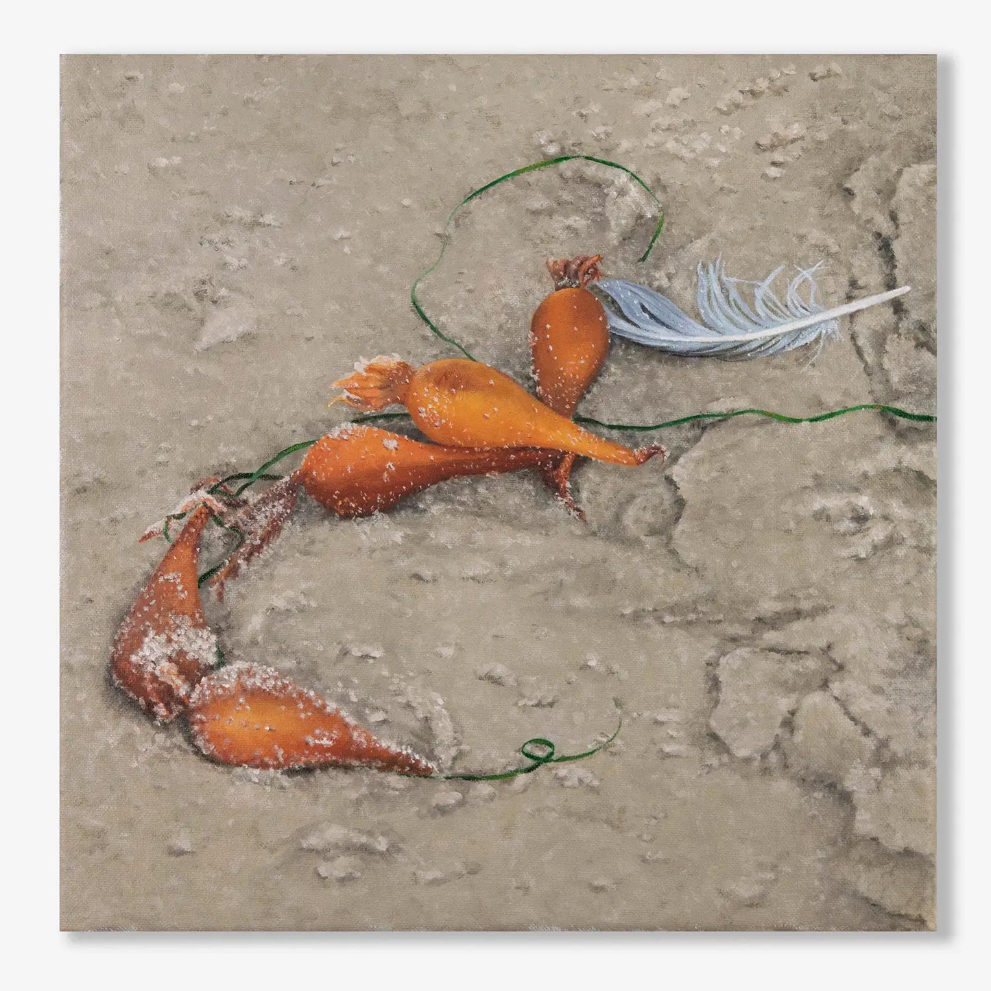 Feather and Kelp Bulbs 12x12"