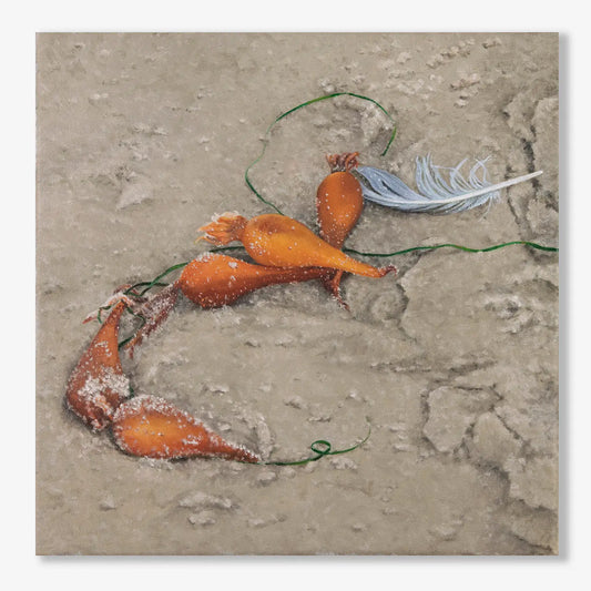 Feather and Kelp Bulbs 12x12"