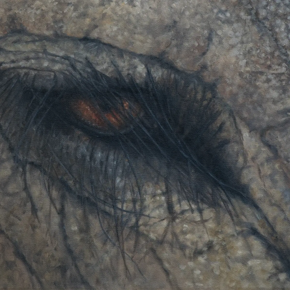 Elephant Eye 16x20"