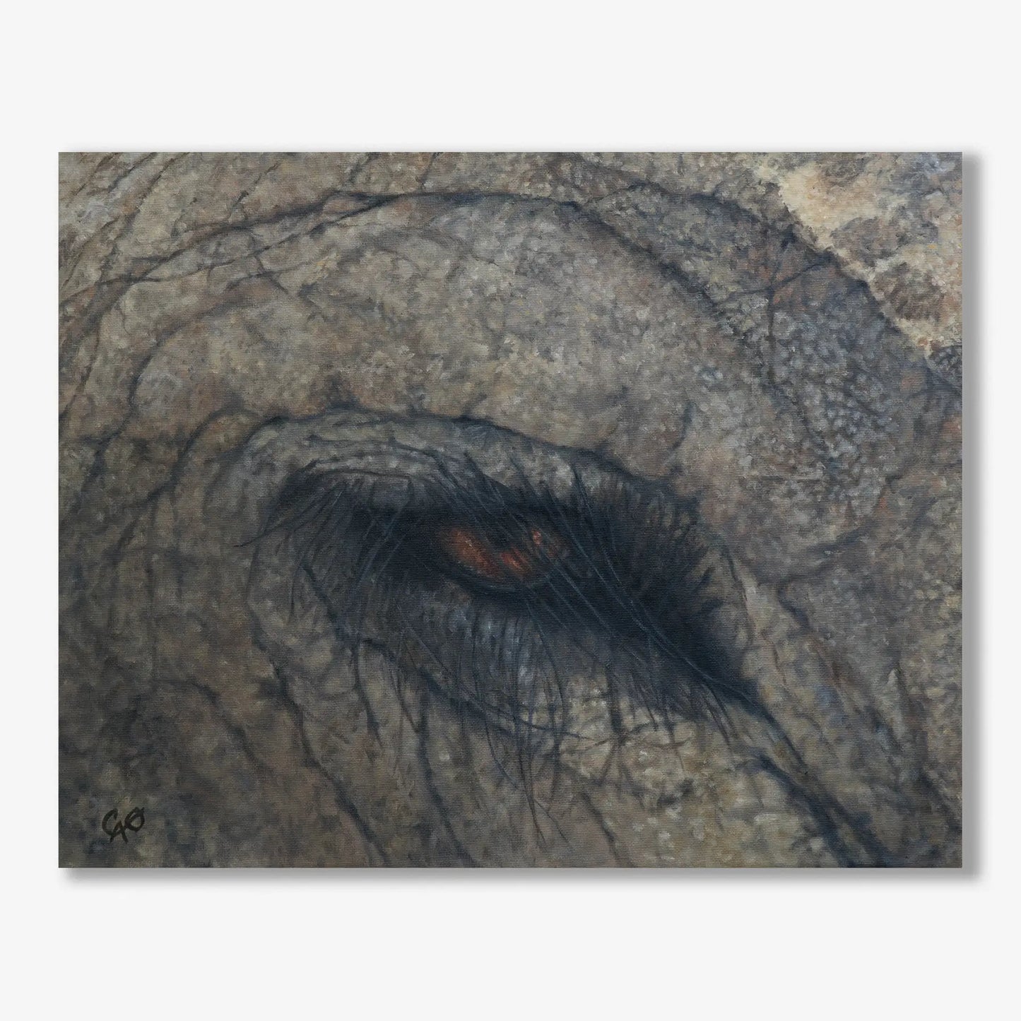 Elephant Eye 16x20"