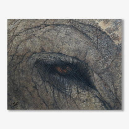 Elephant Eye 16x20"
