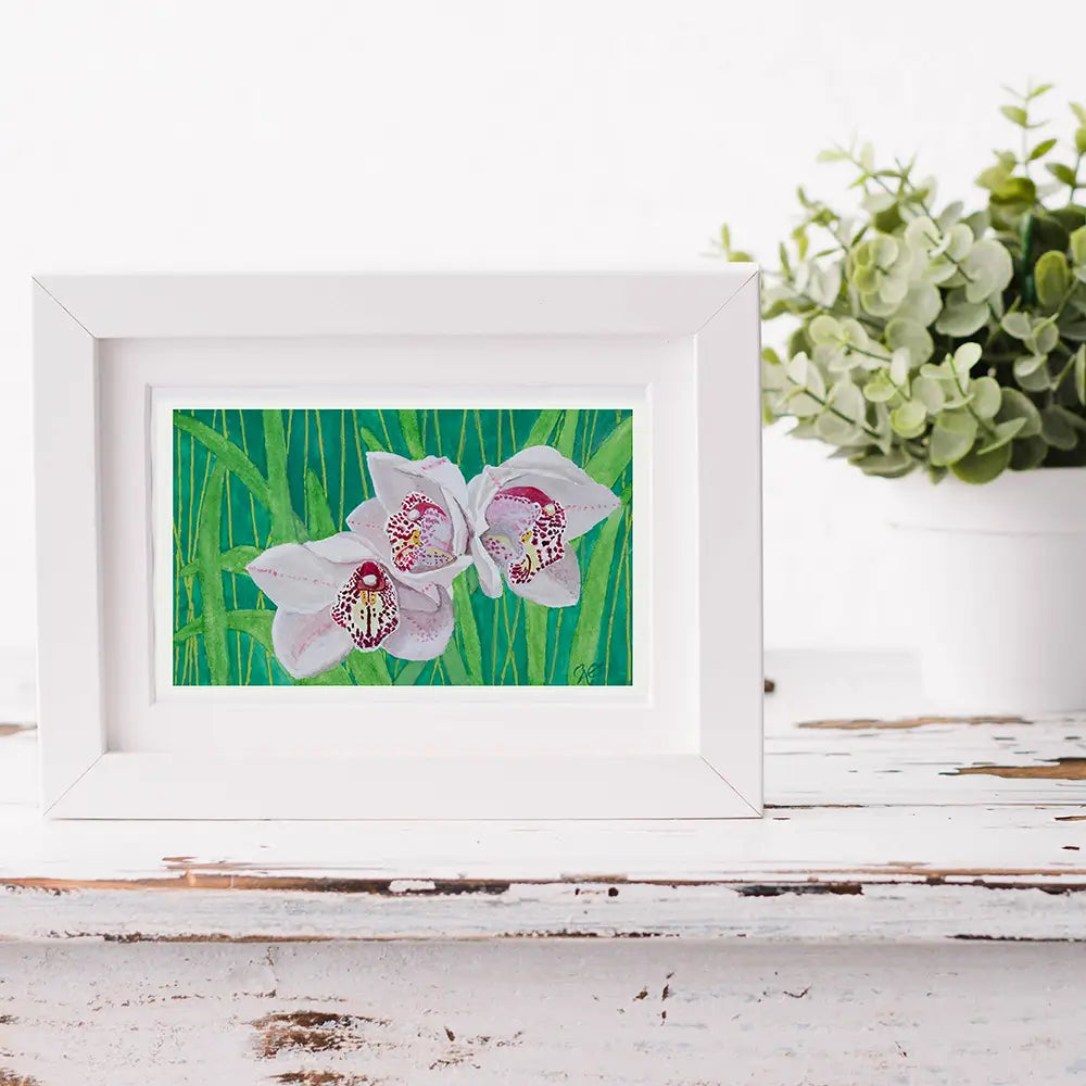 Boat Orchid Beauties 5x8"