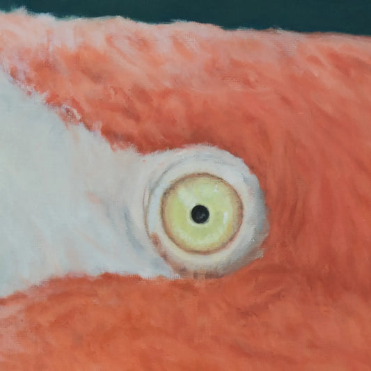 Flamingo Look 16x20"