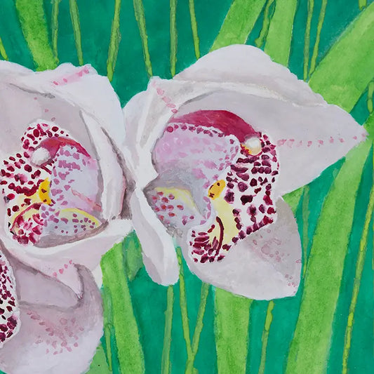 Boat Orchid Beauties 5x8"