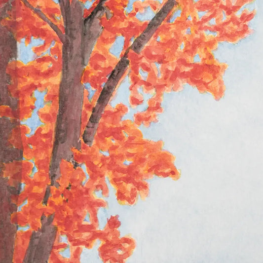 Red Hot Maple 6x7.5"