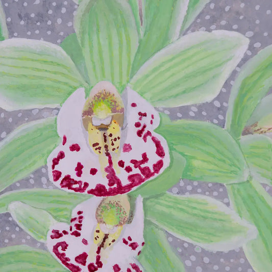 Lime Boat Orchid 5x8"