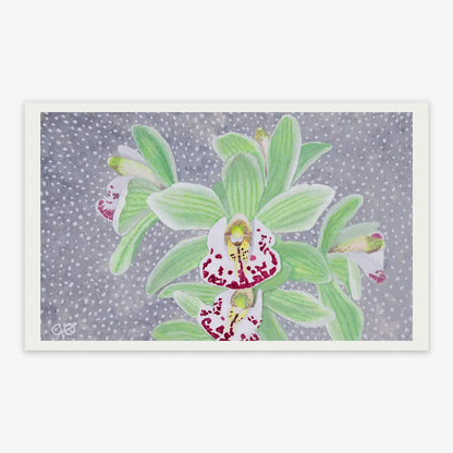 Lime Boat Orchid 5x8"