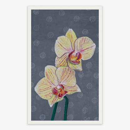 Magnetic Moth Orchid 5x8"