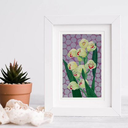 Cymbidium Orchid 5x8"