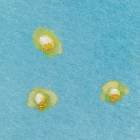 Flirty Fireflies 6x7.5"