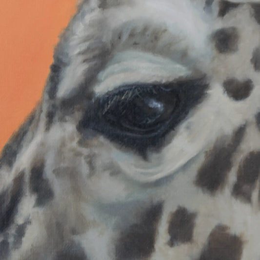 Baby Giraffe 16x20"