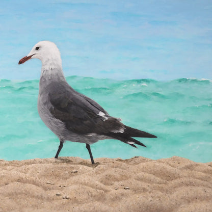 Sand, Sea and Heermann's Gull 30x48"