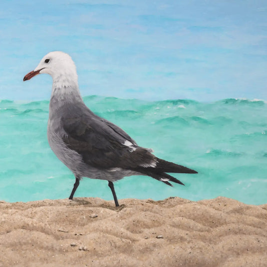 Sand, Sea and Heermann's Gull 30x48"