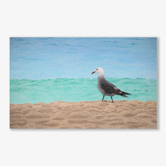 Sand, Sea and Heermann's Gull 30x48"