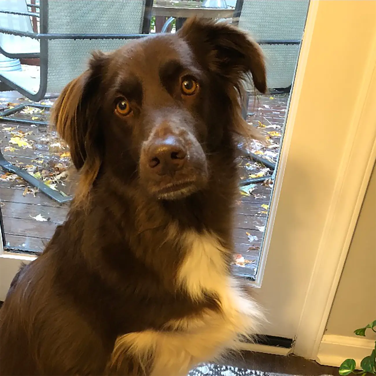 Finn Reference Photo