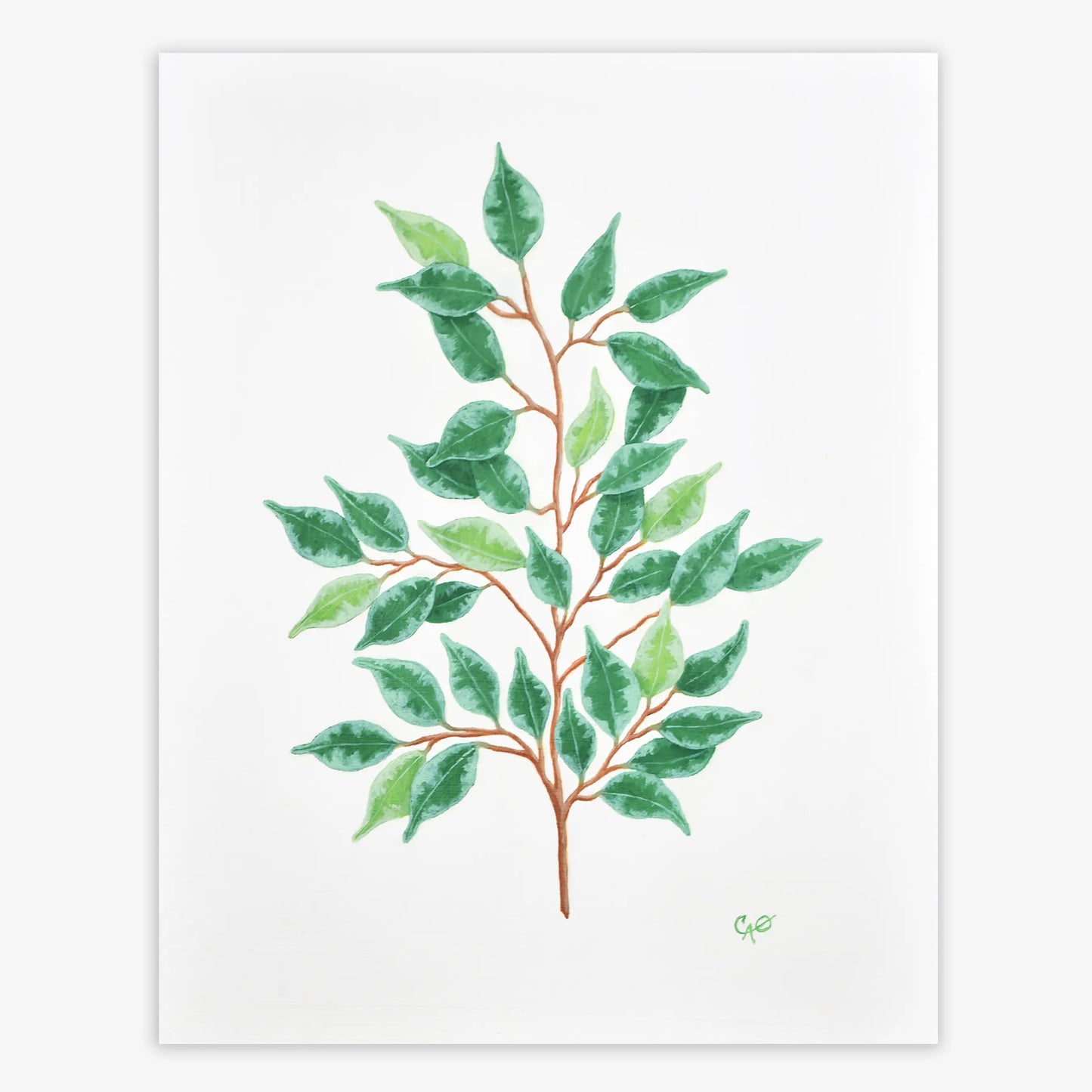 Charming Botanicals, Series of Four