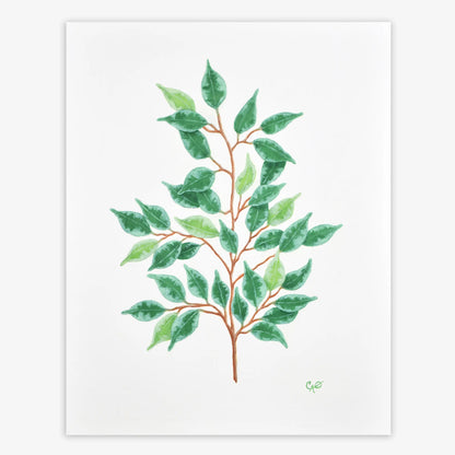 Charming Botanicals, Series of Four