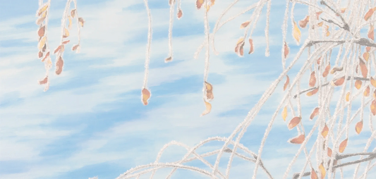 Frosted Branches NY Special Background