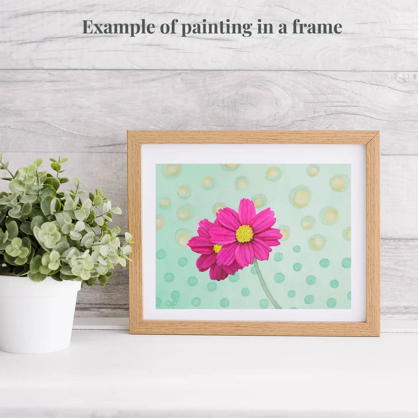 Pink Cosmos Daisies 6x8"