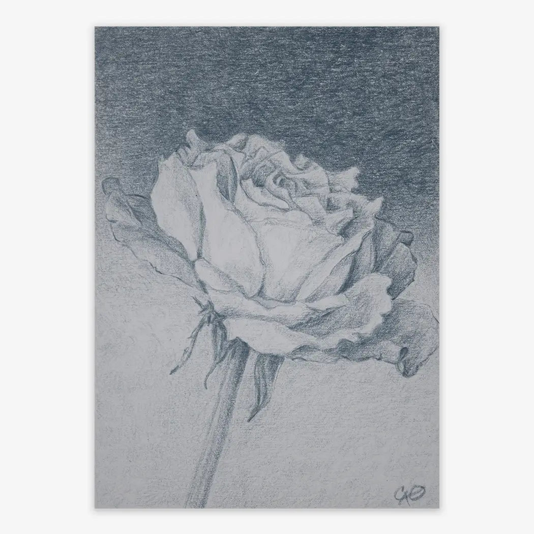 Dusky Rose 5x7"