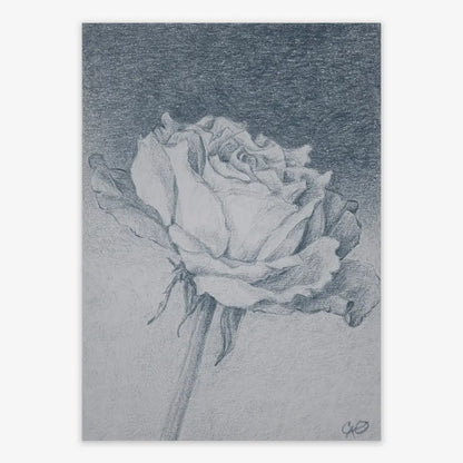 Dusky Rose 5x7"