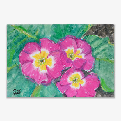 Pink Passion 5x7.5"
