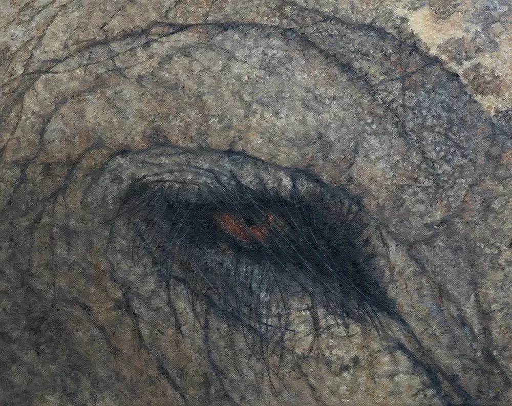 Elephant Eye - Fine Art Print