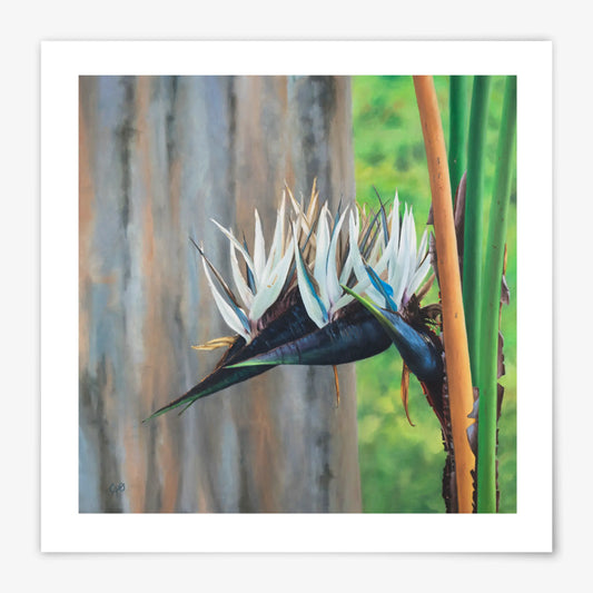 Giant Birds - Fine Art Print