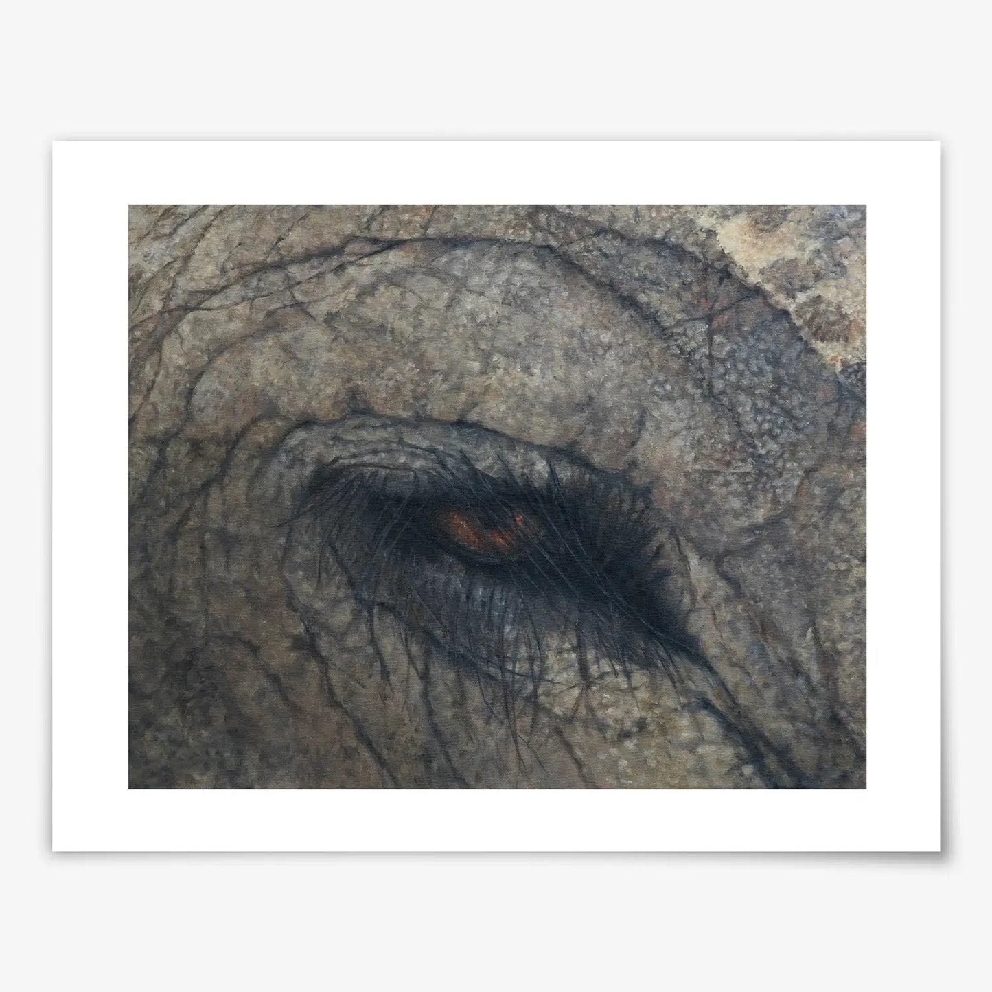 Elephant Eye - Fine Art Print
