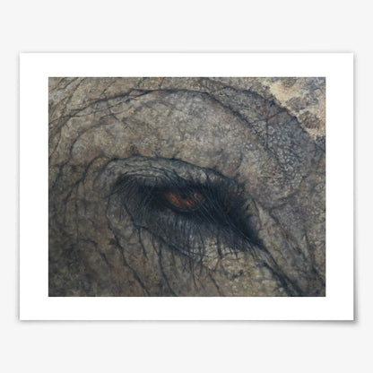 Elephant Eye - Fine Art Print