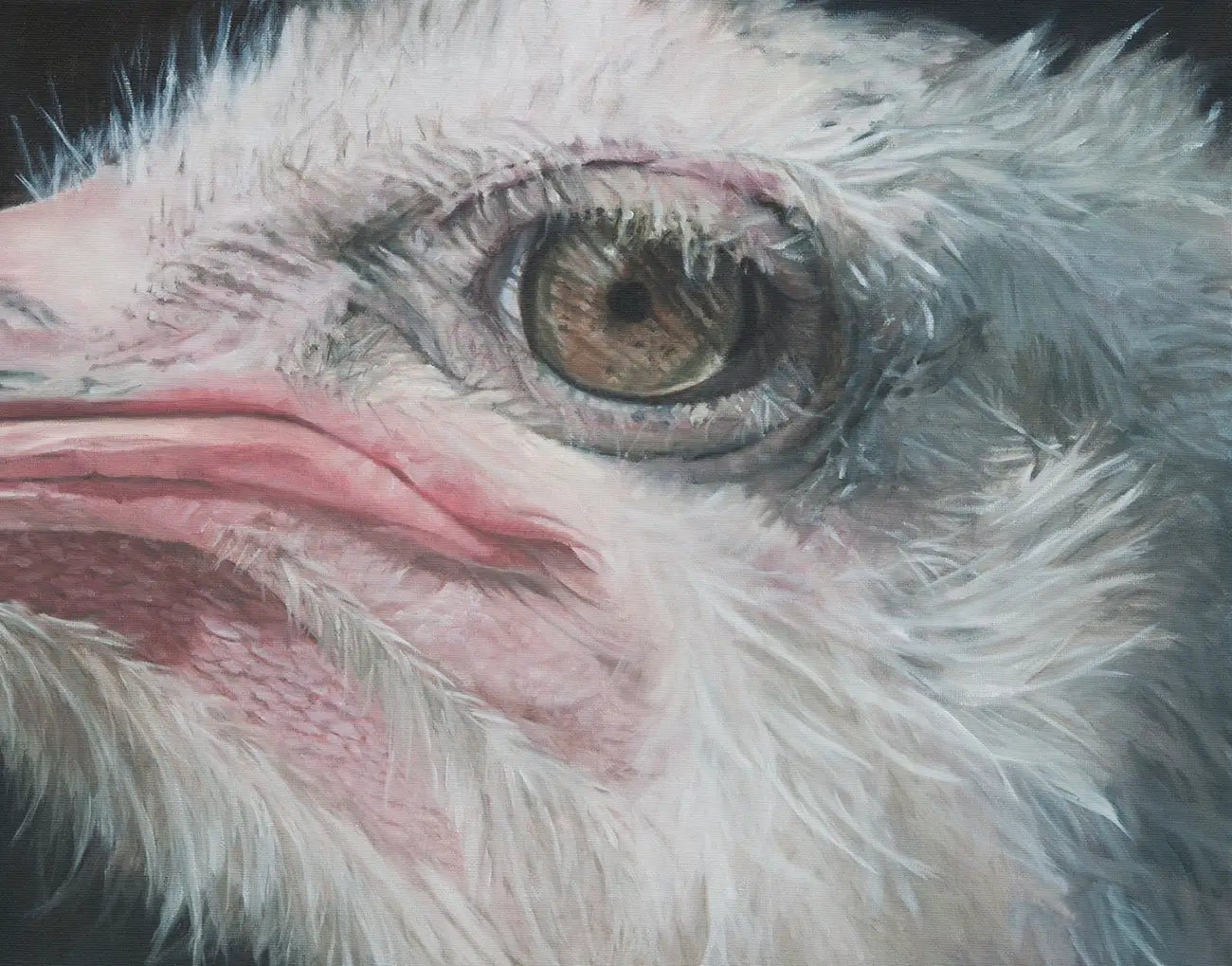 Stare Down - Fine Art Print