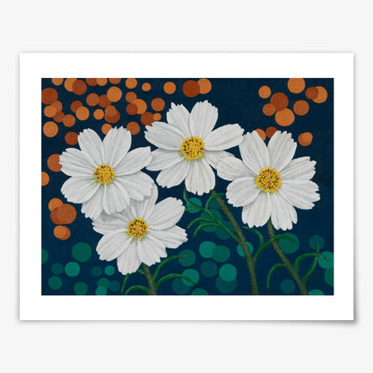 Cosmos Daisies at Night - Fine Art Print