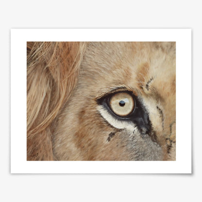 Lion's Eye - Fine Art Print