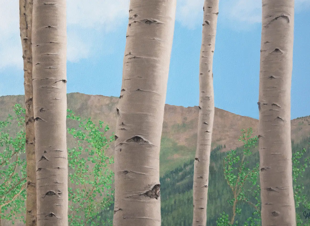 Five Aspens - Fine Art Print