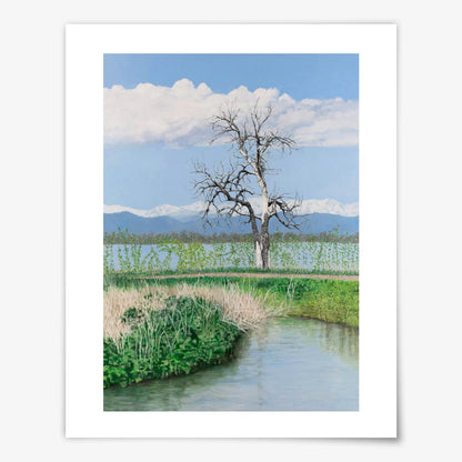 Barr Lake Tree - Fine Art Print