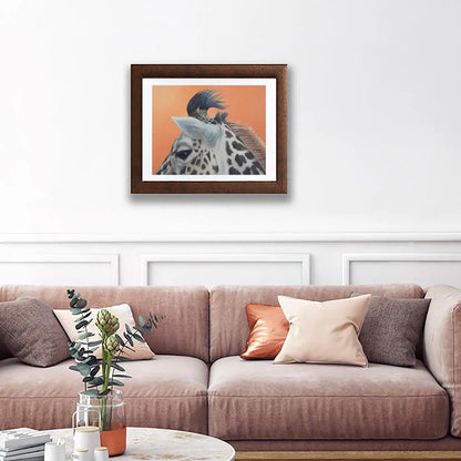 Baby Giraffe- Fine Art Print