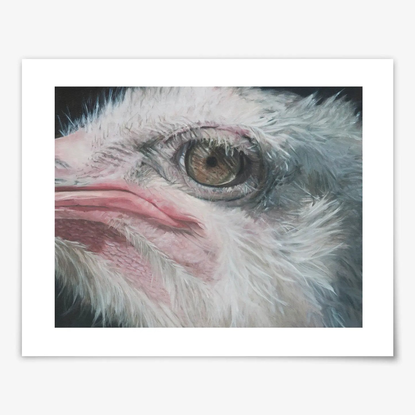 Stare Down - Fine Art Print