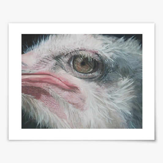 Stare Down - Fine Art Print