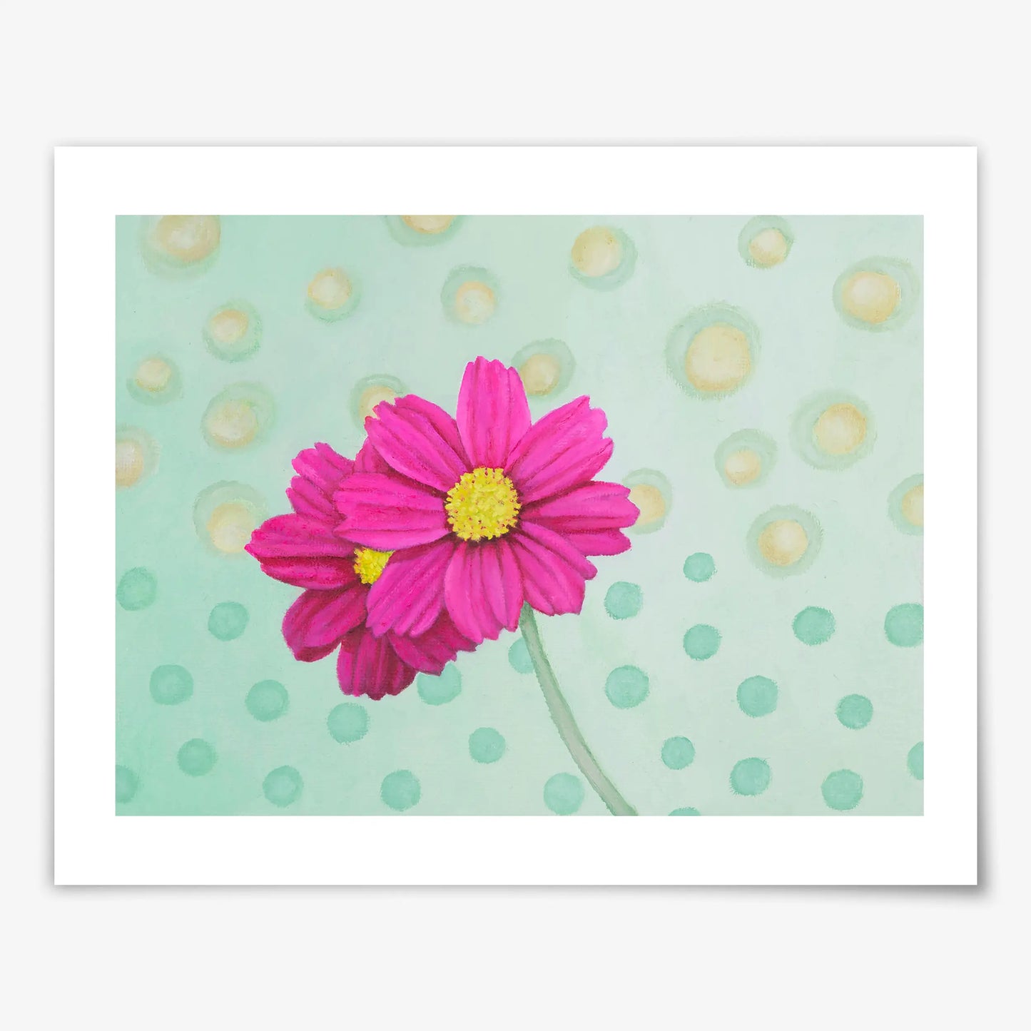 Pink Cosmos Daisies - Fine Art Print