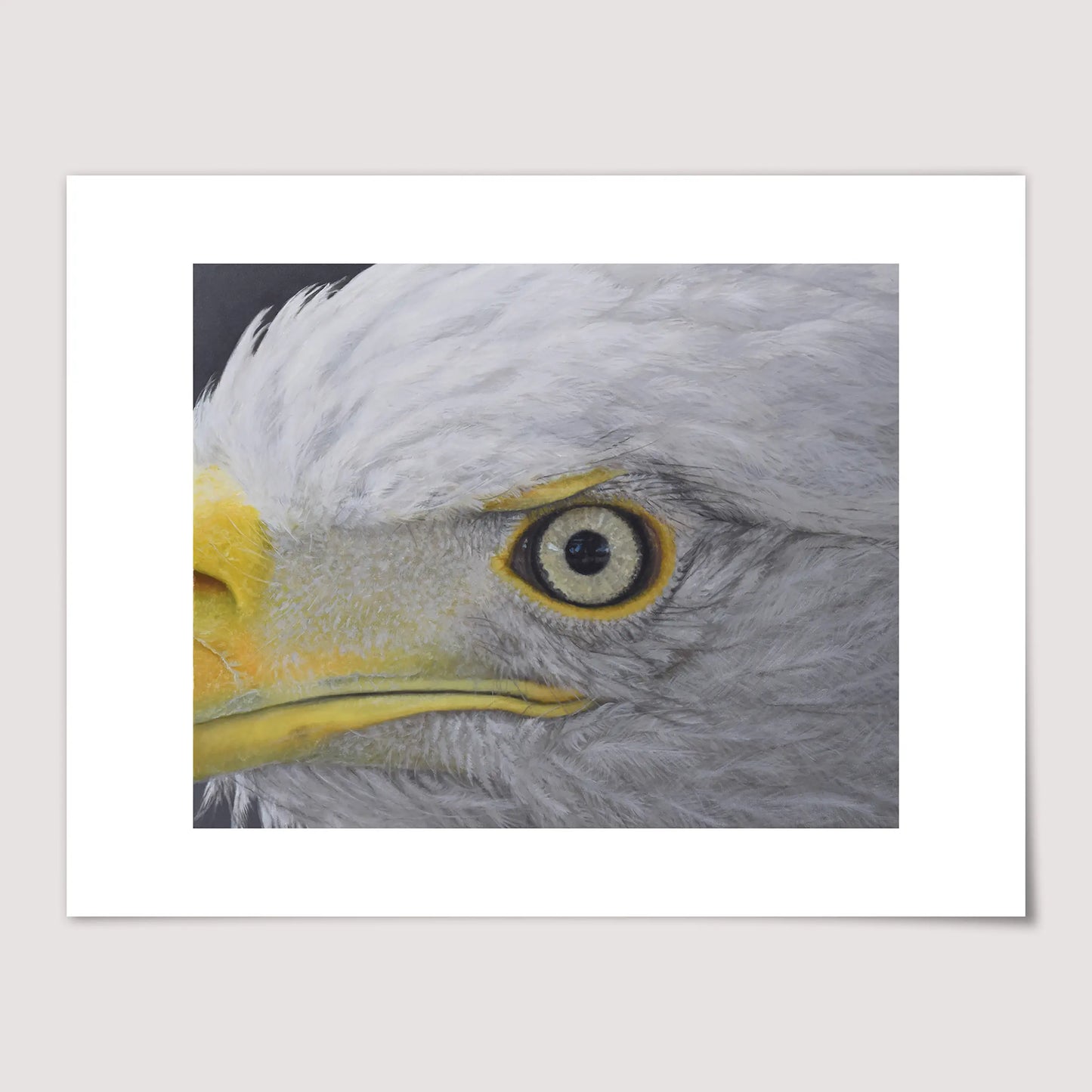 Eagle Eye - Fine Art Print