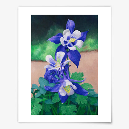 Blue Stars Blossom - Fine Art Print