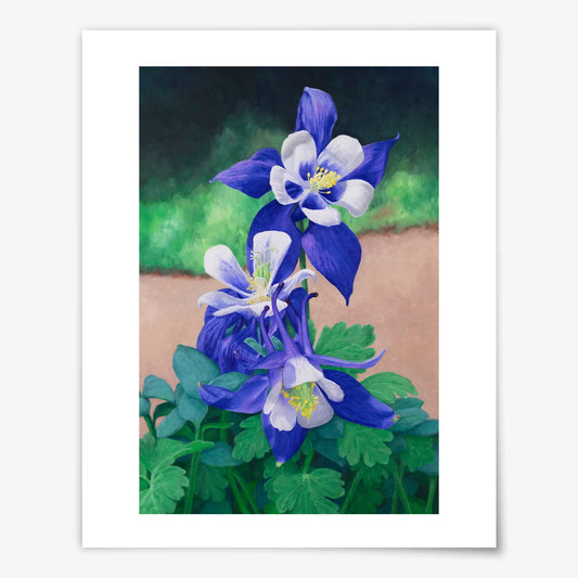 Blue Stars Blossom - Fine Art Print