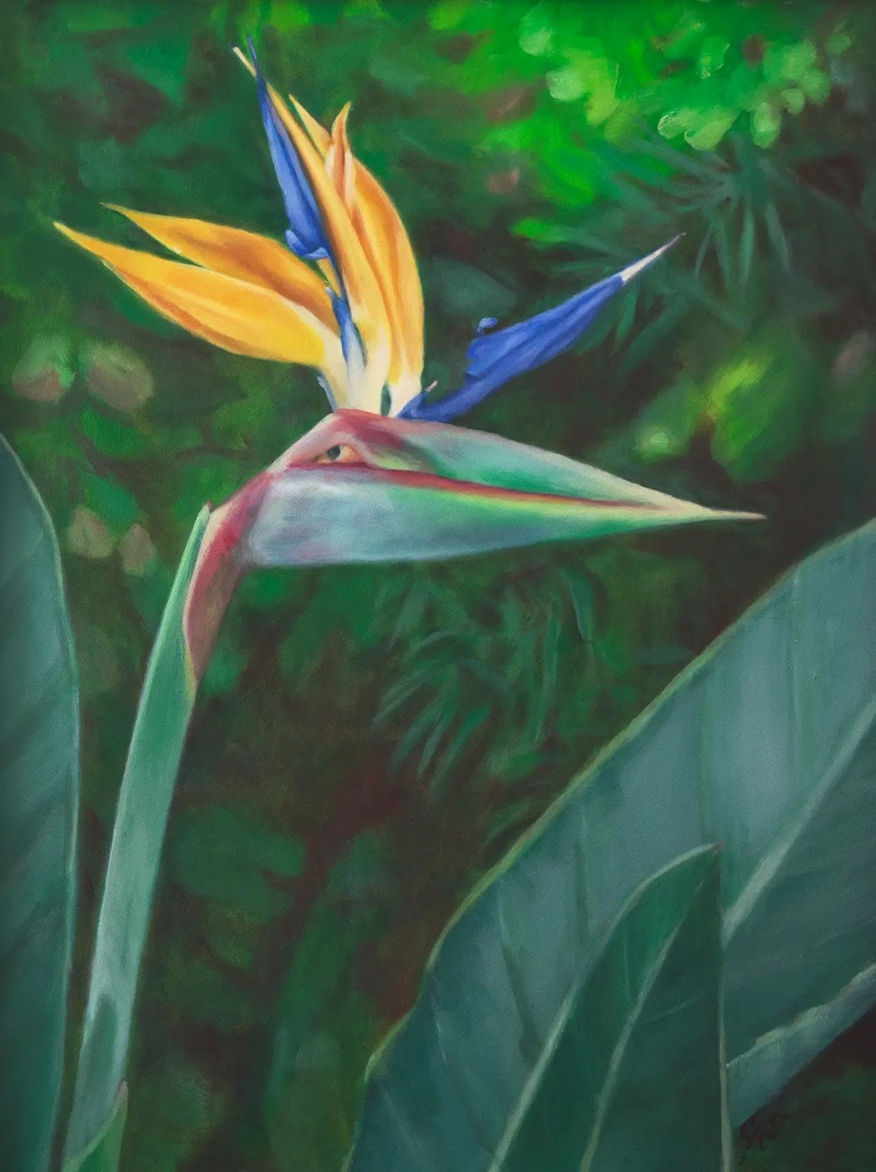 Bird no 1 - Fine Art Print