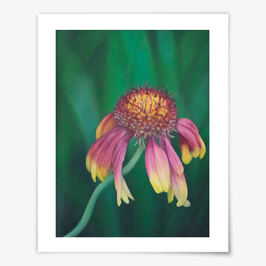Kathleen's Flower - Fine Art Print